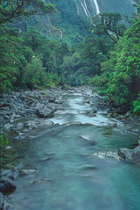 Fiordlands