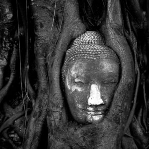 Ayutthaya