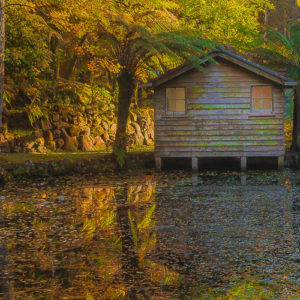 Forgotten Boathouse