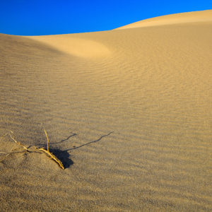 A Terra