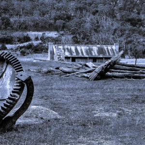 Desolate Homestead