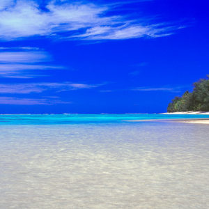 Aqua Paradise