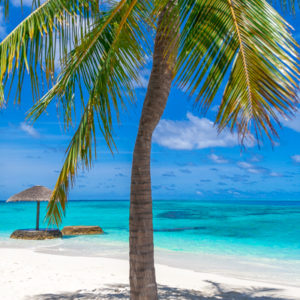 Maldives Escape