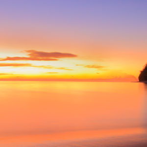 Paradise Lost