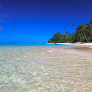 Pure Waters