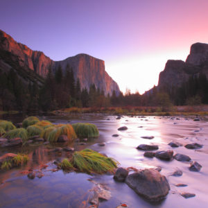 Valley Guardians