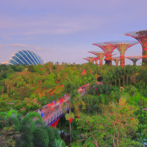 Garden of the Future