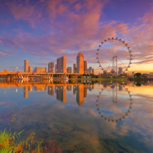 SINGAPORE UNVEILED