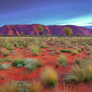 Outback Awakening