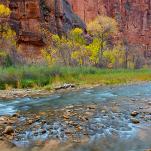 This is Zion