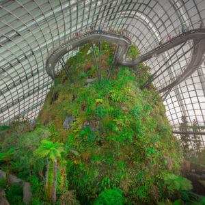 Singapore Unveiled