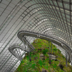 Singapore Unveiled