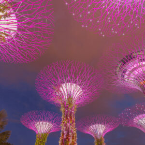 SINGAPORE UNVEILED