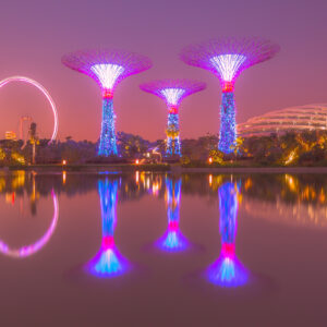 SINGAPORE UNVEILED