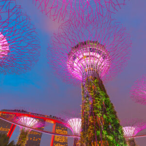 SINGAPORE UNVEILED