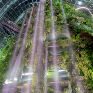 SINGAPORE UNVEILED