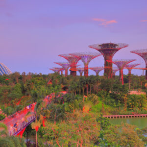 Gardens by the Bay